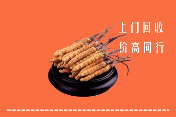高价求购：太原小店回收散虫草