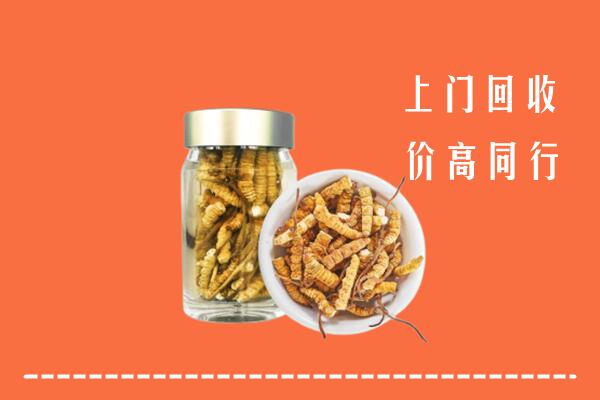 太原小店回收冬虫夏草